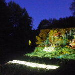 Ideal Spaces und Desiree Kabis präsentieren den Workshop ,”The Perspective Shifts – Non-human Perception Workshop”